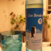 Ice Breaker