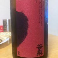 谷泉