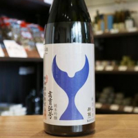 高知県の酒
