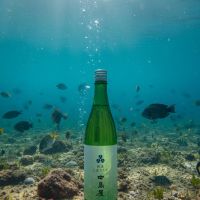 中島屋のレビュー by_たかぎ（株）