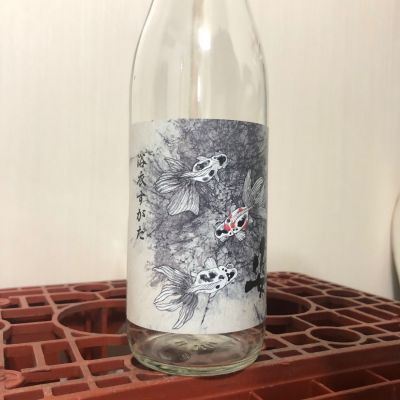 姿のレビュー by_spacerkn