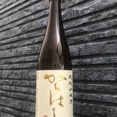 からはしのレビュー by_spacerkn