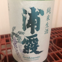 浦霞