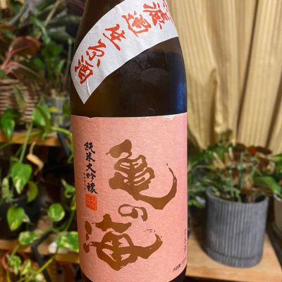 亀の海のレビュー by_シュワッチ