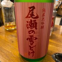 尾瀬の雪どけ