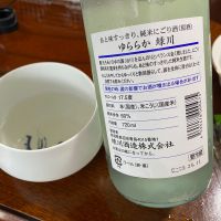 緑川のレビュー by_シュワッチ