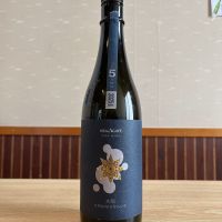 SAKE series