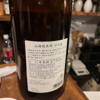 マル飛