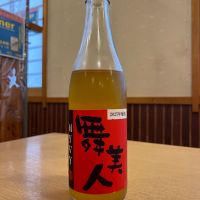 舞美人