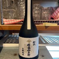 新政