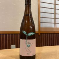 三千櫻のレビュー by_ゆきまる