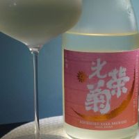 光栄菊
