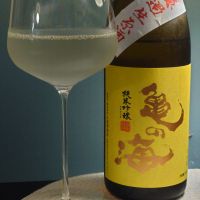 亀の海