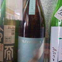 MIYASAKA