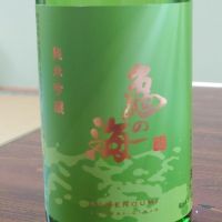 亀の海