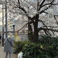 花陽浴のレビュー by_おのまとぺ