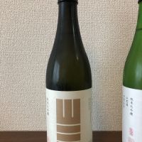 山三