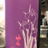 山の井