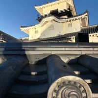 磯自慢のレビュー by_おのまとぺ