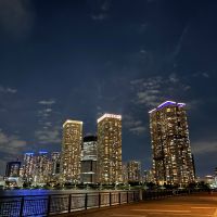 菊水のレビュー by_おのまとぺ