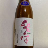 紫宙