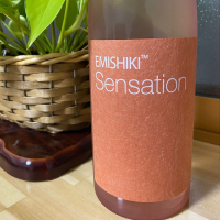 SENSATION