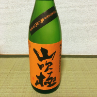 山吹極