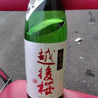 越後桜