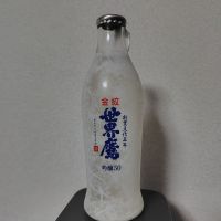 金紋世界鷹