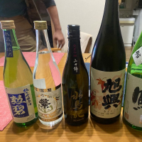 水鳥記