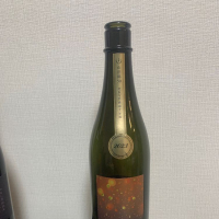 電照菊