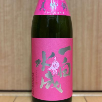 一白水成のレビュー by_武ちゃんギリパパ