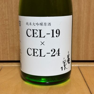 亀泉のレビュー by_武ちゃんギリパパ