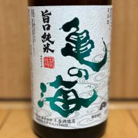 亀の海