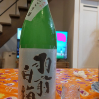 
            羽前白梅_
            こうじさん