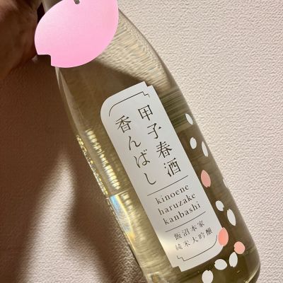 甲子のレビュー by_ぴょん