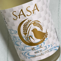 SASA 秋天
