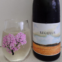 REGULUS