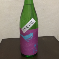 庭のうぐいすのレビュー by_Masashi Yanase