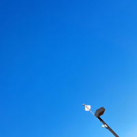 至のレビュー by_KIMI