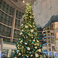 アルプス正宗のレビュー by_KIMI