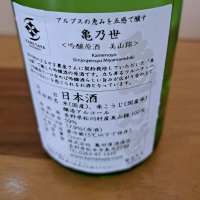 亀の世