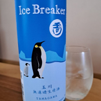 Ice Breaker