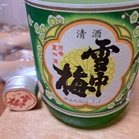 雪中梅