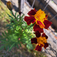 神渡のレビュー by_KIMI