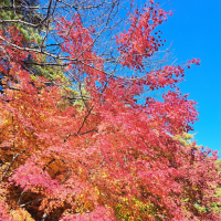 根知男山のレビュー by_KIMI