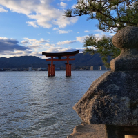 賀茂鶴のレビュー by_KIMI