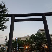 亀の世のレビュー by_KIMI