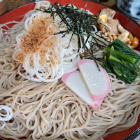 亀の世のレビュー by_KIMI