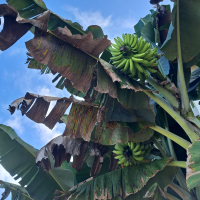 池亀のレビュー by_KIMI